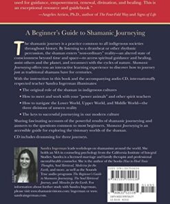 Alternative view of Shamanic Journeying: A Beginner's Guide