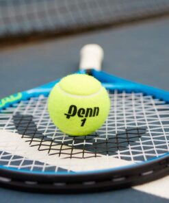 Penn Championship Tennis Balls - Extra Duty Felt Pressurized - 4 Cans, 12 Balls 23 51HcMirFQrL