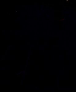 LED floodlight outdoor waterproof 200W LED flood lighting equivalent to 1000W halogen bulb, super bright 6000k white Stadium Lights, 50,000 hours life span for outdoor garden, garage, yard, street 200W daylight white 25 51Hmibz75nL