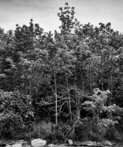 Fujifilm XF14mmF2.8 R Black 14mm f2.8 Lens Single Item 35 51Hr11kQRIL