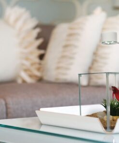 Marina CUBUS Glass Betta Kit – Elegant Glass Aquarium for Homes or Offices 29 51I6ABdIFL