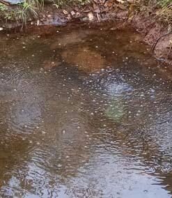 Aquascape 75000 Pond Air 2 (Double Outlet Aeration Kit) 2-Outlet 76 51IKcq1XcTL