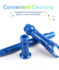 Mr.Power Soprano Recorder German Style C Key 8 Holes Easy Instrument for Beginners School Student Home Entertainment (Blue) Plastic, 3-piece detachable Blue 11 51IQpQlVSRS
