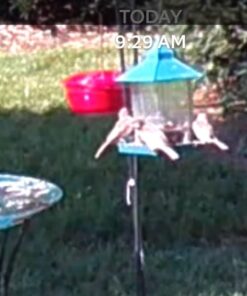 Ogrmar Hanging Gazebo Wild Bird Feeder -Perfect for Garden Decoration and Bird Watching for Bird Lover and Kids (Green) 30 51IfgggBPqL