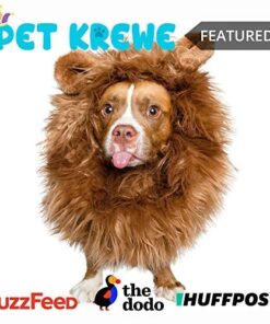 Pet Krewe Large Dog Lion Mane Halloween Costume – Fits Neck Size 13”- 32”- Lion Mane for Small Dogs – Ideal for Halloween, Dog Birthday, Dog Cosplay, Dog Outfits, Pet Clothes 22 51Ijfr92d7L