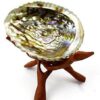 Vrinda ®Abalone Shell and 6'' Wooden Tripod Stand