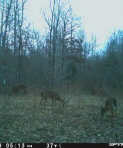 Antler King Honey Hole Mix 34 51J1vrKxTNL