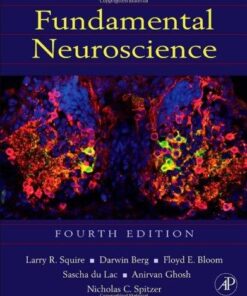 Heirloom Fruit Seeds- Non Hybrid- Real Survival Seeds. Honeydew Green Melon, Banana Melon, Honey Rock Cantaloupe, Watermelon Crimson Sweet, Sugar Baby Watermelon Seeds, Hales Best Jumbo Melon,Non GMO 36 51J3aymI3L