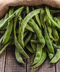 Food to Live Organic Northern Beans, 5 Pounds - Dried, Non-GMO, Kosher, Raw, Sproutable, Bulk Seeds, Product of the USA 5 Pound (Pack of 1) 13 51Jh0BF4NBL