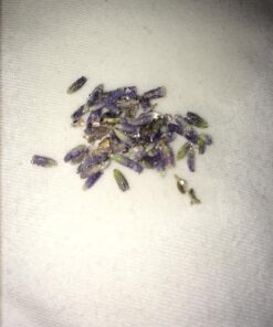 TMT Lavender Flowers Ultra Blue Grade, 1/2 lb 30 51JjaFsm4 L