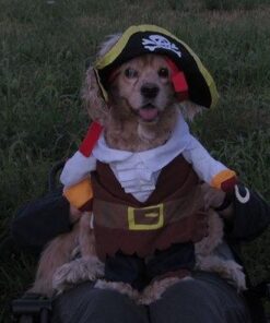 NACOCO Pet Dog Costume Pirates of The Caribbean Style (Large) L Brown 39 51K0wpcvhoL