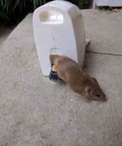 Tomcat Kill & Contain Mouse Trap, Never See a Dead Rodent Again, 2 Traps Kill and Contain Mouse Trap 27 51KS bQmsPL 3