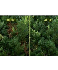 Sun Joe SWJ800E 8-Inch 6.5-Amp Telescoping Electric Pole Chain Saw with Automatic Chain Lubrication System Pole Saw 8-Inch Bar/Chain 8.7' Max. Extension 31 51KT9kxfk3L