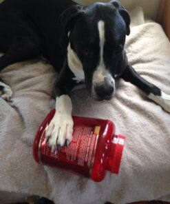 MET-Rx Natural Whey Protein Powder, Chocolate Protein Powder, 5 Lb 33 51Khg2yM5wL