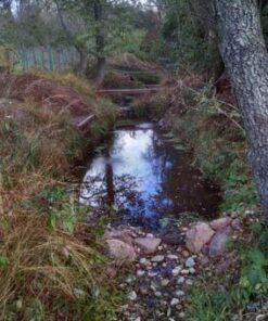 Aquascape 75000 Pond Air 2 (Double Outlet Aeration Kit) 2-Outlet 77 51KnJx3qG9L