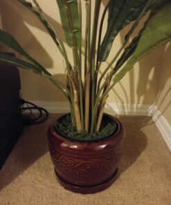 Nearly Natural 6739 Birdsnest Plant, 3.5-Feet, Green 16 51L23GDlWUL