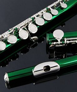 Glory Closed Hole C Flute With Case, Tuning Rod and Cloth,Joint Grease and Gloves Green 13 51LL0GXWtL