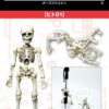 Pose skeleton man (1) 16 51LaawL3pEL