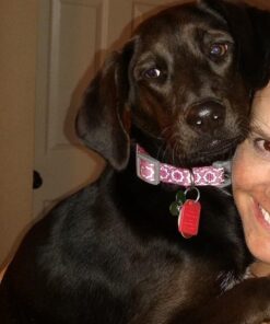 Thunderpaws Best Professional De-Shedding Tool and Pet Grooming Brush, D-Shedz for Breeds of Dogs, Cats with Short or Long Hair, Small, Medium and Large (Yellow) Yellow 37 51Ljfa TURL