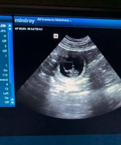 Portable Ultrasound Scanner Veterinary Pregnancy V12 with 3.5 MHz Convex Probe for Sheep, Dog, Cat and Pig. 19 51Lqq6iH6YL