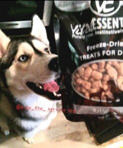 Vital Essentials Freeze Dried Dog Treats, Dog Snacks Made in The USA, All Natural Dog Treats, Great Training Treats for Dogs, Rabbit Bites 2.0 oz 2 Ounce (Pack of 1) 14 51M9fkzYsBL