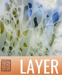 Grafix Matte 0.005 Dura-Lar Film, 9 12-Inch, 25 Sheets, 9x12 in, Original Version .005" (5 mil) 27 51N6cRHzprL