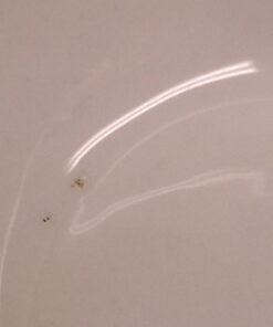 Norpro My Favorite Jumbo Porcelain Mugs, Set of 2, White 2 Count (Pack of 1) 35 51NIIkP24L