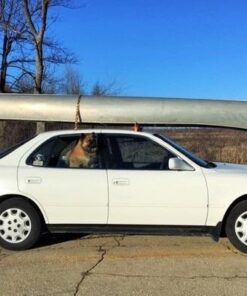 Reese Towpower 7018100 Canoe Loader - Black 27 51NTwd7hGpL