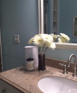 Pure Enrichment® PureDry™ Mini Dehumidifier - 27oz Compact Water Tank Eliminates 300ml/day of Excess Moisture from Closets, Bathrooms, Boats, Kitchens, and Other Small Rooms and Living Spaces 45 51O5kwBJARL