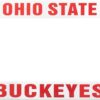 Rico Industries F300104-Ohio State Buckeyes Plastic Frame(Pms200), Multi, One Size 12 51OCa6MPvWL