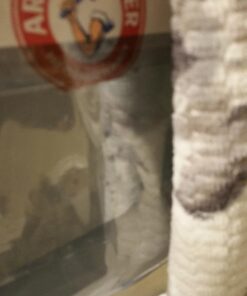 Arm & Hammer Fragrance Free Hanging Moisture Absorber and Odor Eliminator 2 Pack - Traps Moisture for Fresher, Cleaner Air 41 51OdbGEzm9L