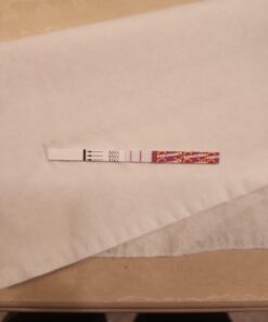 Pregmate 50 Pregnancy Test Strips (50 Count) 50 Count 41 51Okt4rkVL