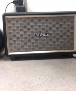 TEWELL Speaker for Turntable, HD 24W Audio Vintage Wireless Speakers Plug-in Speaker with Extended Bass and Treble, Knob for Volume Control, Toggle Switch and 3.5mm AUX Input Black 35 51Ompm7tiHL