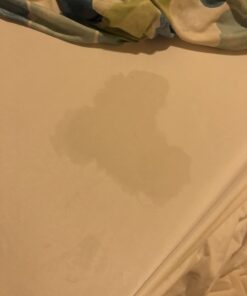 Linenspa Waterproof Smooth Top Premium Queen Mattress Protector, Breathable & Hypoallergenic Queen Mattress Covers - Packaging may vary, White 36 51On4eRfDtL