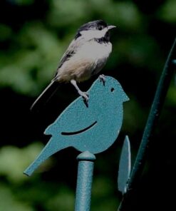 Stokes Select Bird Feeder Metal Deck Pole Kit with Two Adjustable Branches 9 51OpcZqu38L