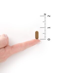 Garden of Life Vitamin C for Adults with Antioxidants & Citrus Bioflavonoids - Now Certified Organic - Living Vitamin C, Non-GMO Whole Food Vegetarian Nutritional Supplement, 60 Count (30 Day Supply) 13 51PK8m36mcL