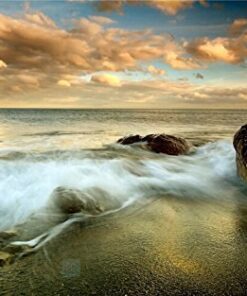 FOTGA Slim Fader Variable ND Filter Adjustable ND2 to ND400 49mm Neutral Density,Suitable for Canon EF 50mm f/1.8 STM Lens Sony FE 50mm F1.8 16 51PiDQ10XyL