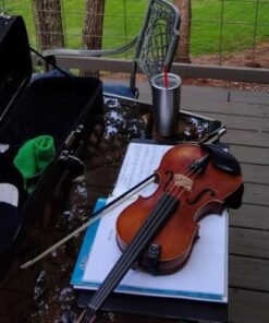 Planet Waves NS Micro Violin Tuner - Violin Clip On Tuner - Digital Violin Tuner - Black 33 51PoDmyPcL