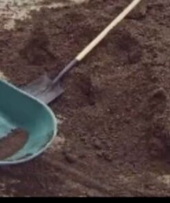 Best Choice Products Dual-Wheel Home Utility Yard Wheelbarrow Garden Cart w/Built-in Stand for Lawn, Gardening, Grass, Soil, Bricks, and Construction, Green 51 51Q06ngymDL