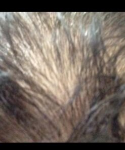 It's a 10 Haircare Miracle Leave-In Plus Keratin, 10 Fl. Oz (Pack of 1) Fresh 10 Fl Oz (Pack of 1) 48 51QFRnk10L