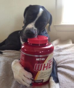 MET-Rx Natural Whey Protein Powder, Chocolate Protein Powder, 5 Lb 35 51QIuiG6hOL