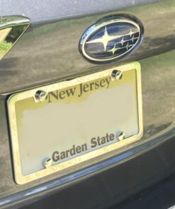 Rust Resistant Stainless Steel License Plate Frame Screws Fasteners + Chrome Screw Caps 21 51QPRt fI3L