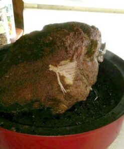 Nordic Ware Indoor/Outdoor Kettle Smoker, 7 by 13 inches, Red 44 51QYcEGm uL