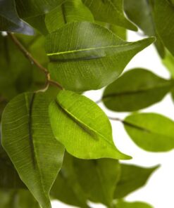 Alternative view of Nearly Natural 5.5' Ficus UV Resistant (Indoor/Outdoor) Artificial Trees, Green (5380)