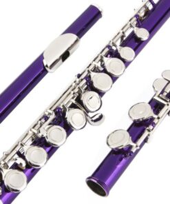 Alternative view of Glory Closed Hole C Flute With Case, Tuning Rod and Cloth,Joint Grease and Gloves Purple