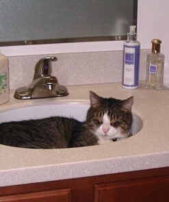 Kitty Shack - 2 in 1 Tube Cat Mat and Bed, Pet Accessories 36 51RJpLKduRL