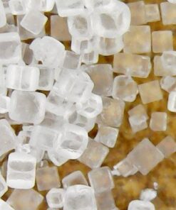 Jiusion Original 40-1000X USB Microscope with Portable Carrying Case, Digital Magnification Endoscope Camera 8 LEDs Metal Base for Micro USB USB-C Android, Windows Mac Linux Chrome 49 51RgT1c4u7L