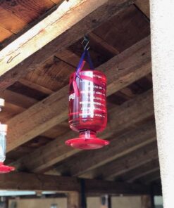 First Nature 3055 32-ounce Hummingbird Feeder 47 51RogCsqRlL