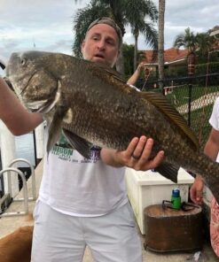 KastKing Centron & Centron Lite Spinning Reels, Size 500 is Perfect for Ice Fishing, Up to 17.5Lbs Max Drag, 5.2:1 Gear Ratio, Ultra Smooth Powerful, CNC Aluminum Spool, 9+1 BB Light Weight Centron Lite - Collapsible Handle Size 5000 44 51RpCQIxCqL 1