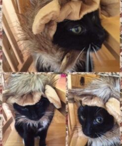 Pet Krewe Cat Lion Mane Halloween Costume – Fits Neck Size 8”-14 - Lion Costume for Small Cats and Kittens – Ideal for Halloween, Cat Birthday, Cat Cosplay, Cat Outfits, Pet Clothes One size fits all 42 51RqUEzPLbL